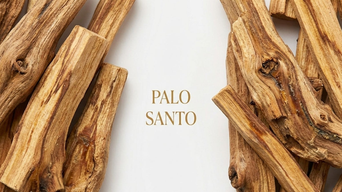 Aceite esencial de Palo Santo de Ecuador de Mei Rituals en frasco de vidrio ámbar