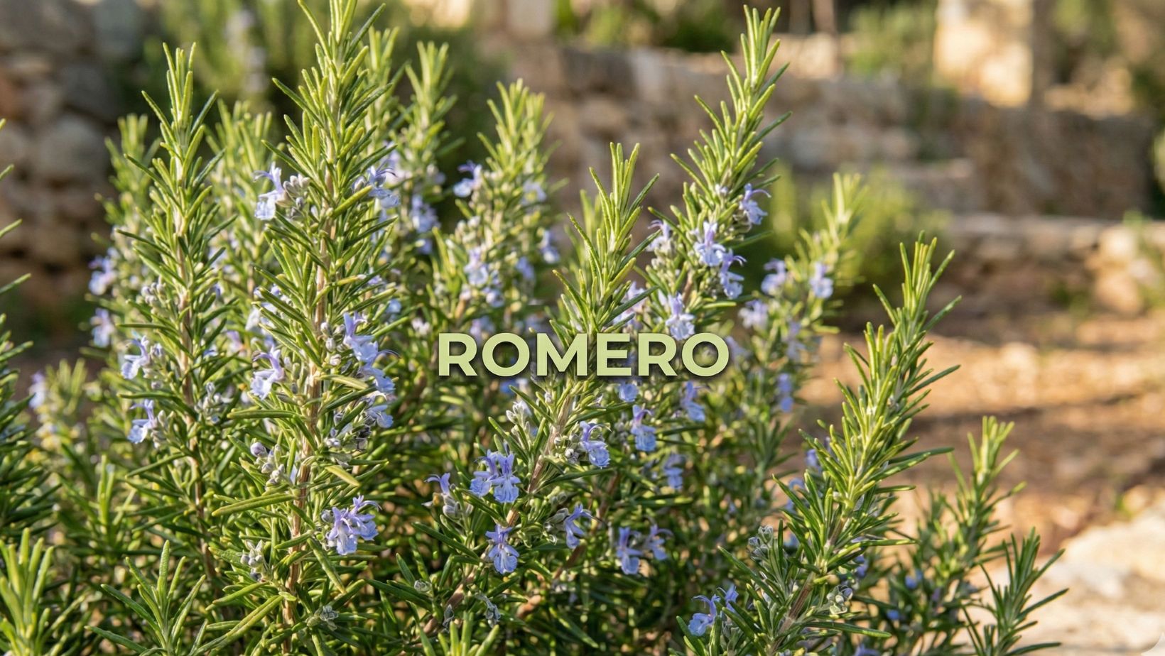 aceite esencial de romero mei rituals